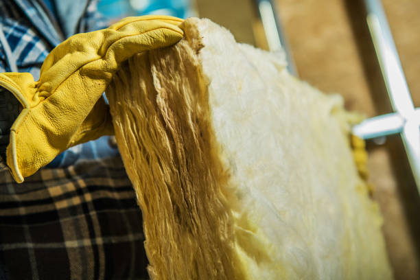 Best Blown-in Insulation  in Chandler, IN